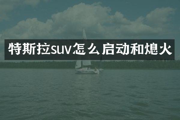 特斯拉suv怎么启动和熄火