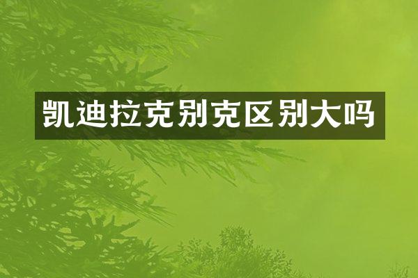 凯迪拉克别克区别大吗