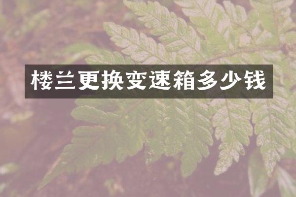 楼兰更换变速箱多少钱