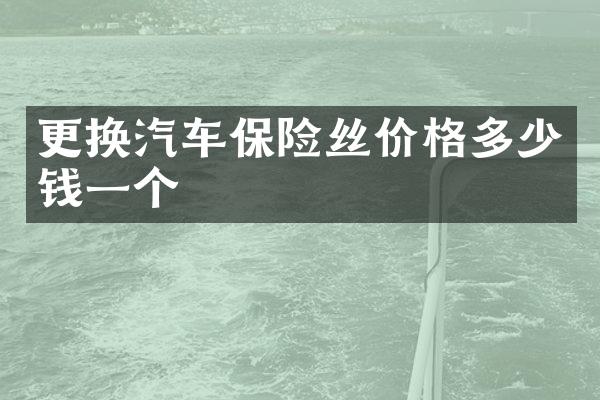 更换汽车保险丝价格多少钱一个