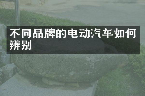 不同品牌的电动汽车如何辨别