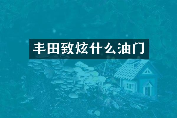 丰田致炫什么油门