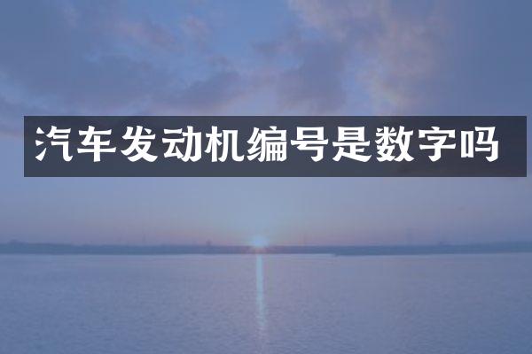 汽车发动机编号是数字吗