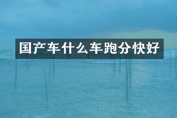 国产车什么车跑分快好
