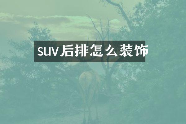 suv后排怎么装饰
