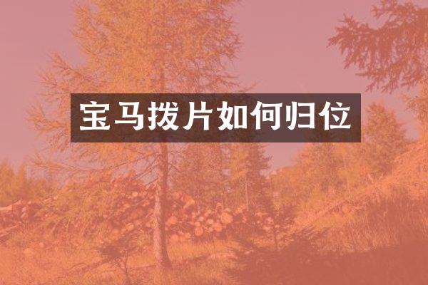 宝马拨片如何归位