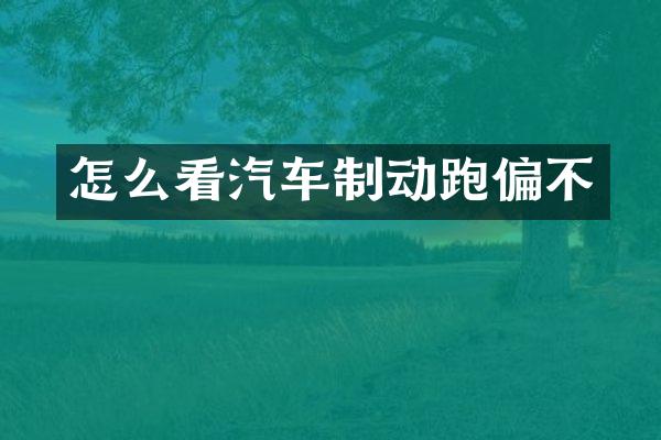 怎么看汽车制动跑偏不