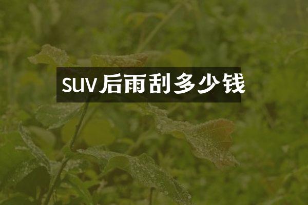 suv后雨刮多少钱