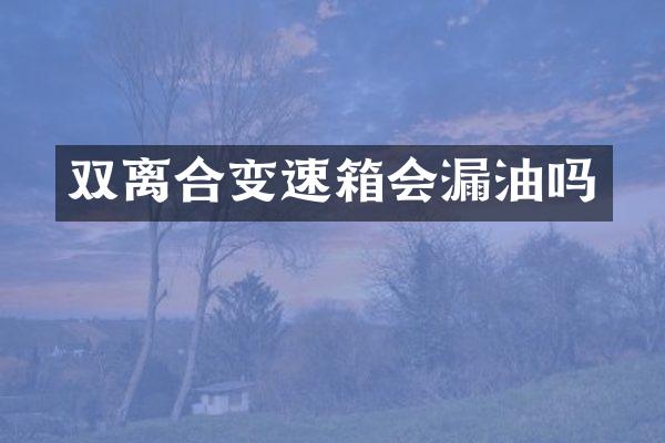 双离合变速箱会漏油吗