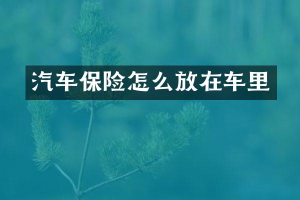 汽车保险怎么放在车里