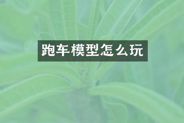 跑车模型怎么玩