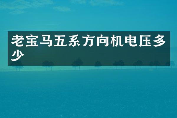 老宝马五系方向机电压多少