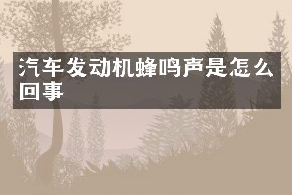 汽车发动机蜂鸣声是怎么回事