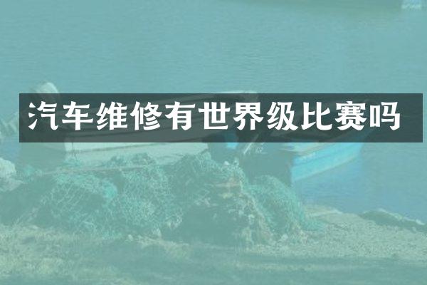 汽车维修有世界级比赛吗