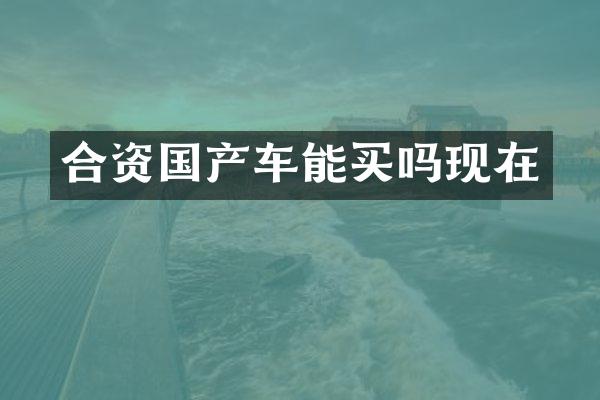 合资国产车能买吗现在