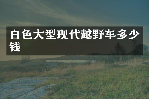 白色大型现代越野车多少钱