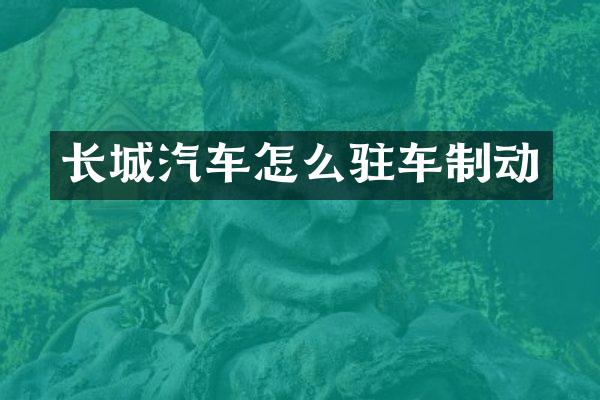 长城汽车怎么驻车制动