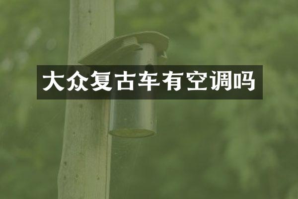 大众复古车有空调吗