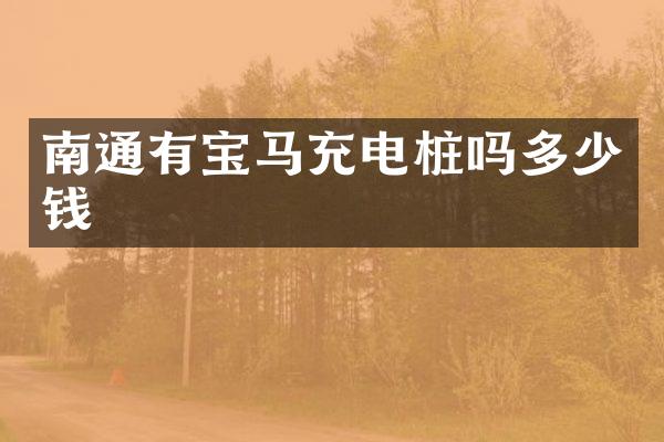 南通有宝马充电桩吗多少钱