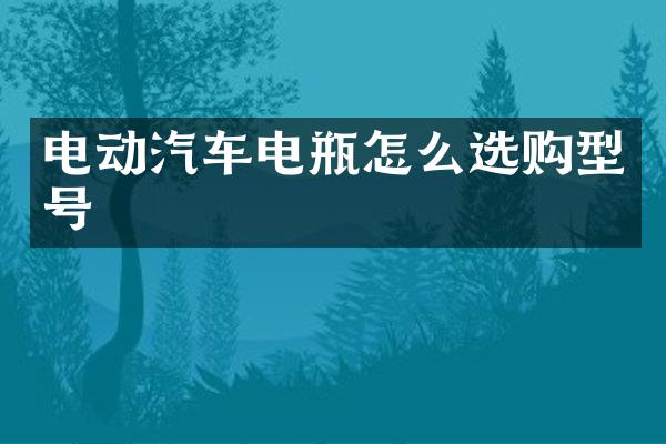 电动汽车电瓶怎么选购型号