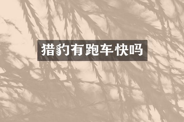 猎豹有跑车快吗