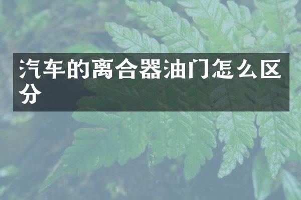 汽车的离合器油门怎么区分