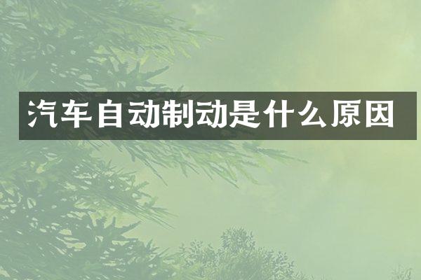 汽车自动制动是什么原因