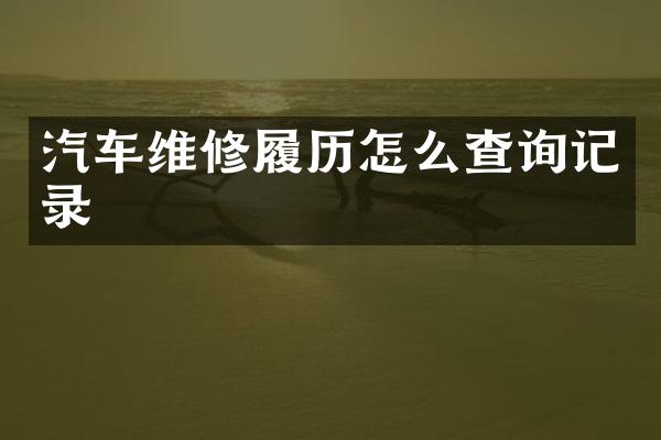汽车维修履历怎么查询记录