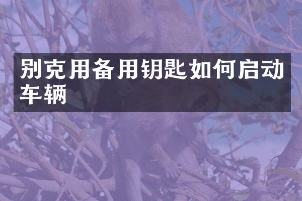 别克用备用钥匙如何启动车辆