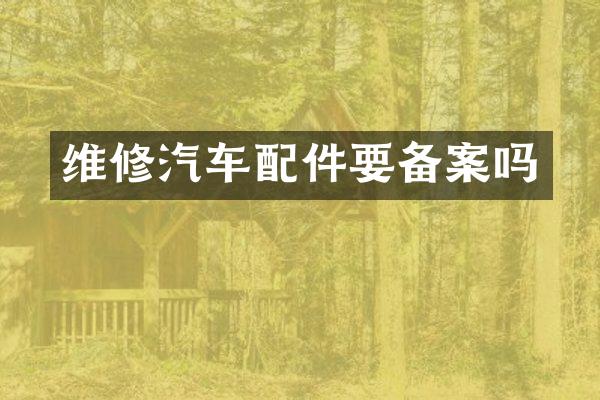 维修汽车配件要备案吗