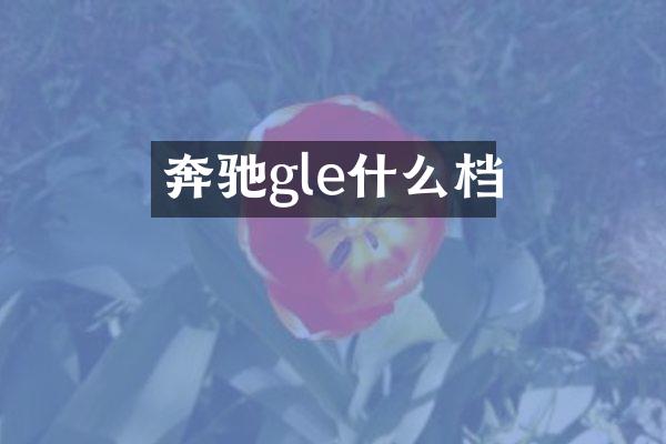 奔驰gle什么档
