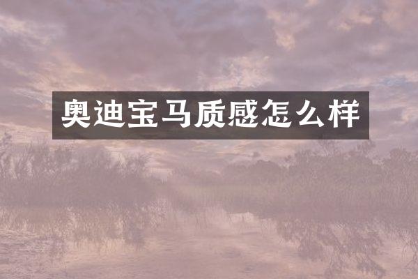 奥迪宝马质感怎么样