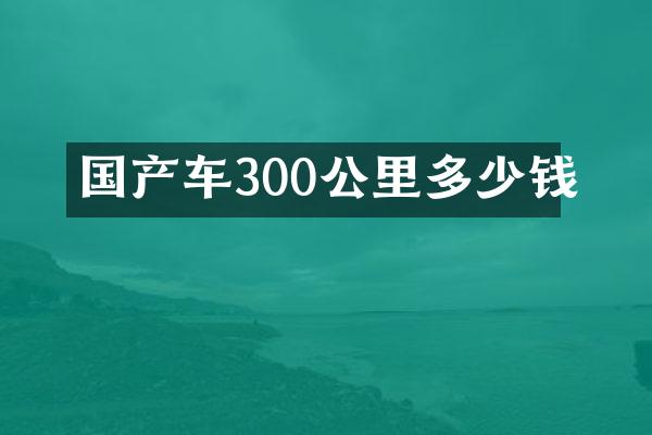 国产车300公里多少钱