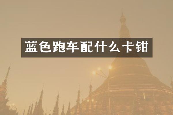 蓝色跑车配什么卡钳