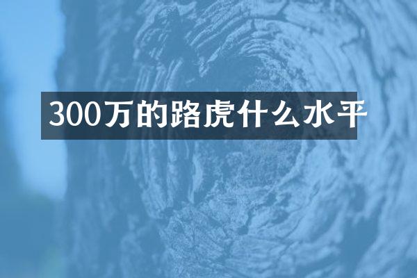 300万的路虎什么水平