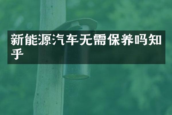 新能源汽车无需保养吗知乎