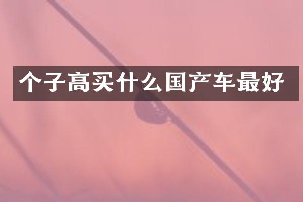 个子高国产车最好