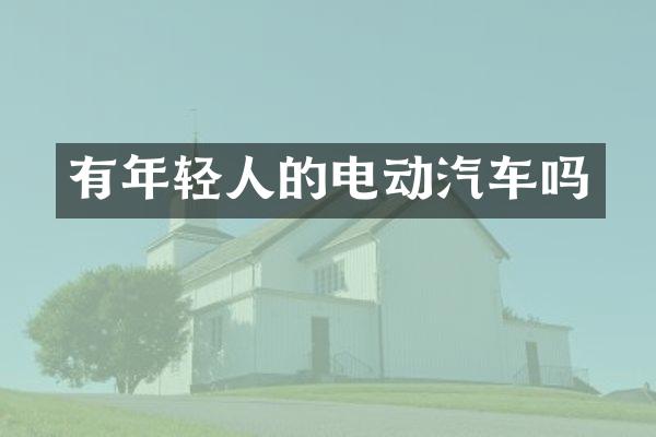有年轻人的电动汽车吗