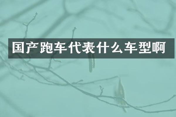 国产跑车代表什么车型啊