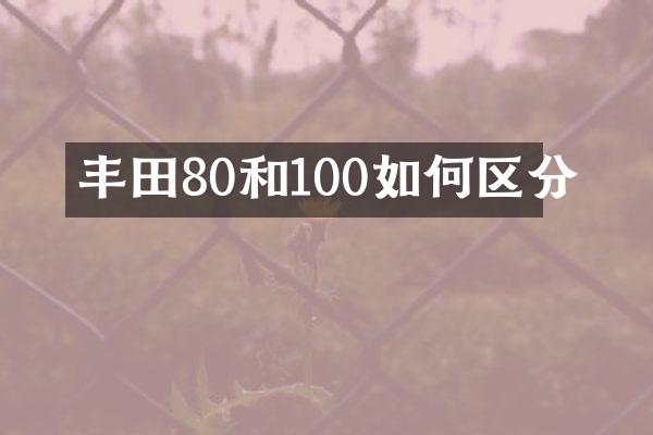 丰田80和100如何区分