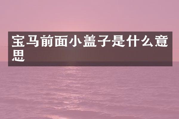 宝马前面小盖子是什么意思