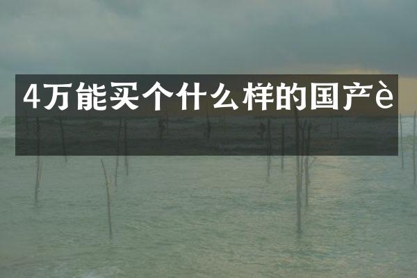 4万能买个什么样的国产车