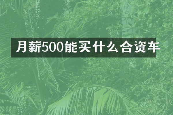月薪500能合资车