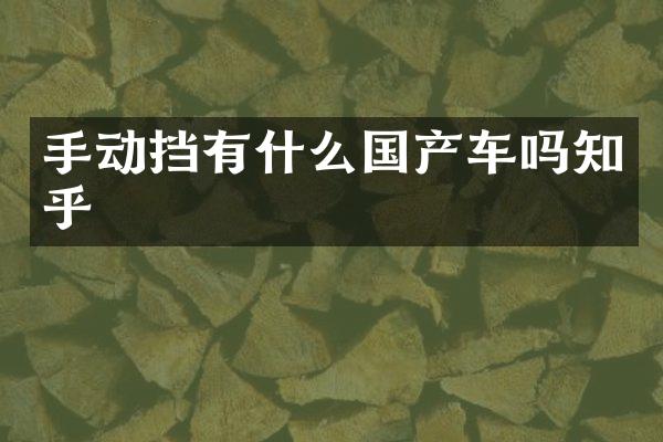 手动挡有什么国产车吗知乎