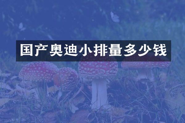 国产奥迪小排量多少钱