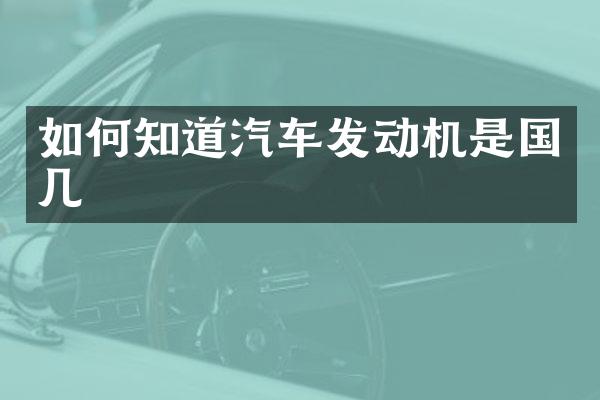 如何知道汽车发动机是国几
