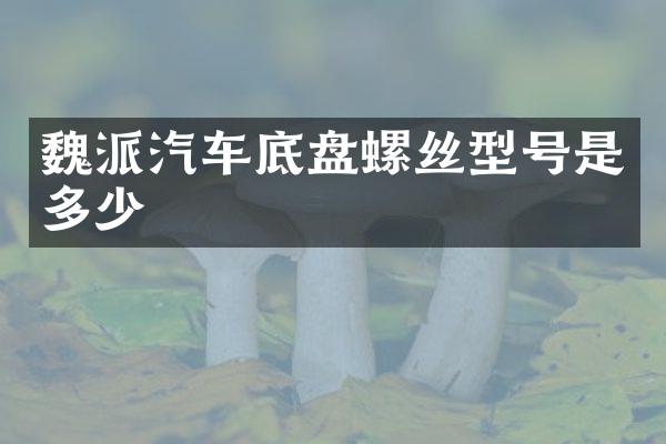 魏派汽车底盘螺丝型号是多少