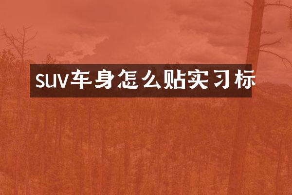 suv车身怎么贴实习标
