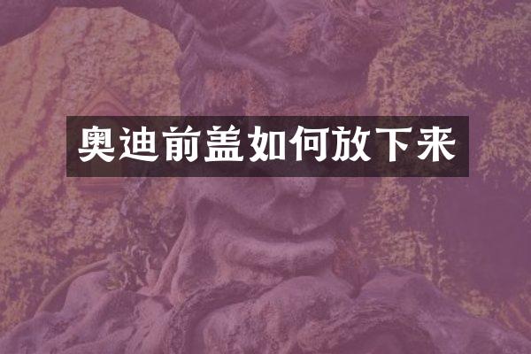 奥迪前盖如何放下来