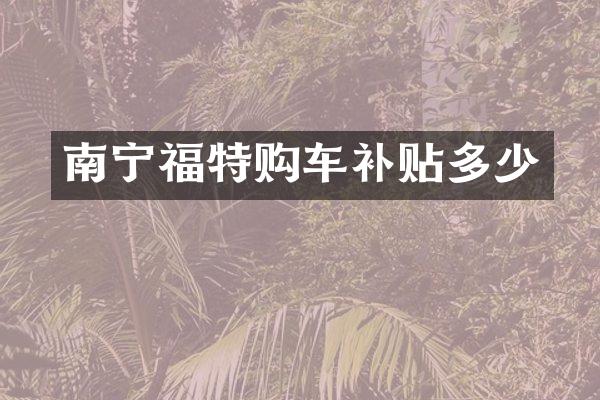 南宁福特购车补贴多少